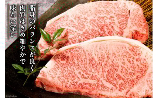 【畜産農家応援】 牛肉 宮崎牛 ロースステーキ 250g×2 計500g [ミヤチク 宮崎県 日向市 452061593] 肉 黒毛和牛 ステーキ ロース 冷凍