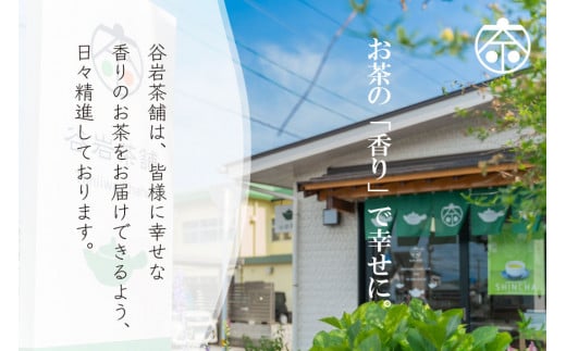 お茶 緑茶 深蒸し煎茶 深緑 100g×2本 [谷岩茶舗 宮崎県 日向市 452061605] セット 小分け 茶葉 プラチナ賞