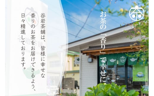 お茶 緑茶 煎茶 晟 70g×1本 [谷岩茶舗 宮崎県 日向市 452061610] 緑茶 やぶきた プラチナ賞 日本茶