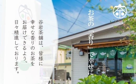 茶 特撰 みやざき 煎茶 ティーバッグ 5g×20個入 計2袋 [谷岩茶舗 宮崎県 日向市 452061615] お茶 日本茶 新茶 簡易包装 一番茶 新茶