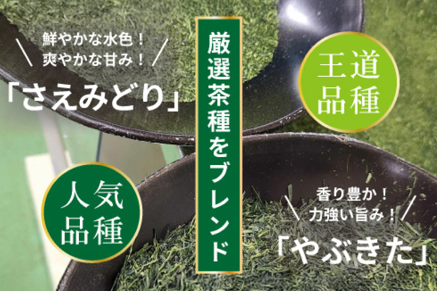 お茶 ティーバッグ 特撰 みやざき煎茶 紐付き 3袋 セット [谷岩茶舗 宮崎県 日向市 452061628] ティーパック 茶 茶葉 緑茶 新茶 お茶の葉