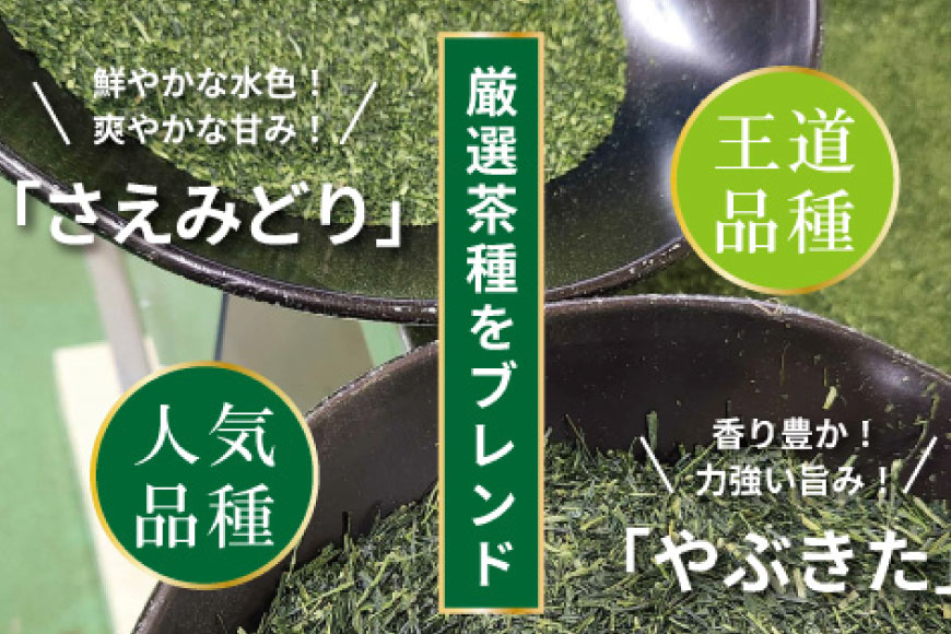 お茶 ティーバッグ 特撰 みやざき煎茶 3袋 セット [谷岩茶舗 宮崎県 日向市 452061642] ティーパック 茶 茶葉 緑茶 新茶 お茶の葉