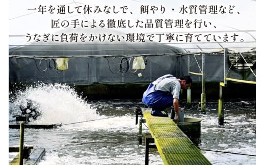 宮崎県産 ハーブ うなぎ 蒲焼 4尾 計720g 以上 タレ山椒付き [鰻楽 宮崎県 日向市 452061651] 真空パック 国産 蒲焼き 長焼き ウナギ 鰻 長蒲焼 冷凍 化粧箱入り 贈答