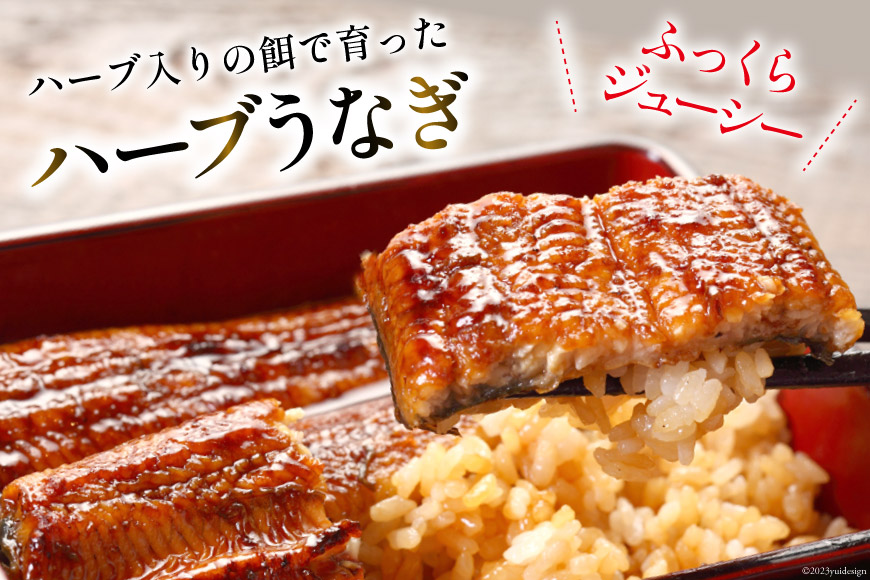 【父の日】《6/15迄にお届け》うなぎ 鰻楽 ハーブ うなぎ蒲焼 4尾 計680g タレ山椒付き 宮崎 日向市産 [鰻楽 宮崎県 日向市 452060561] 真空パック 国産 蒲焼き 長焼き ウナギ 鰻 長蒲焼 冷凍