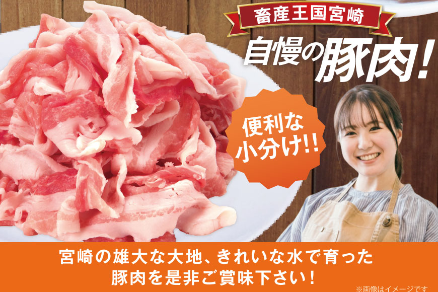 豚肉 日本ハム 宮崎県産豚肉小間切れ 3.0kg 500g×6p [日本ハムマーケティング 宮崎県 日向市 452061250] 小分け 冷凍 細切れ ぶた 細切れ こま切れ 小間切れ 肉 豚肉