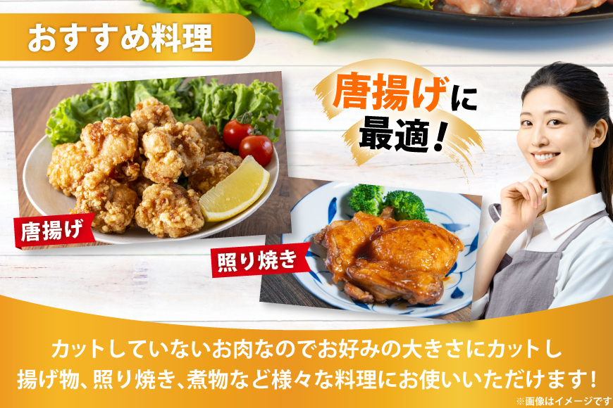 宮崎県産若鶏もも 2kg [エム・ティ・シー 宮崎県 日向市 452061358] 鶏肉 もも肉 小分け モモ肉 冷凍 九州 鳥肉 国産 肉