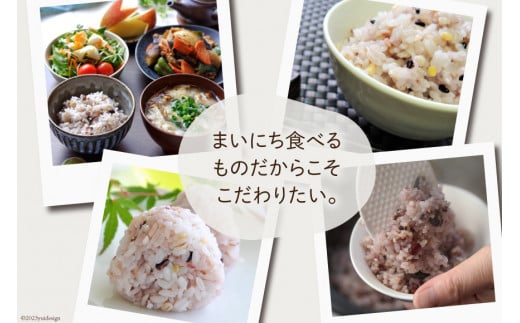 米 無洗米 11穀満足ごはん ごほうびごはん 250g×4 計 1kg [DANBO*DELI 宮崎県 日向市 452060022] 小分け 国産 ブレンド米 雑穀米 こめ コメ 雑穀