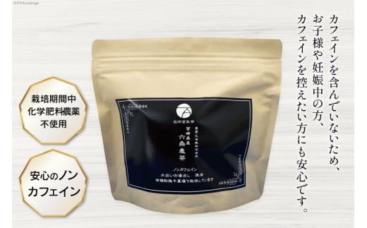 お茶 六条麦茶 （10g × 20包入）×５袋 [日向百生会 宮崎県 日向市 452060516] 麦茶 むぎ茶 水出し 煮出し ティーバッグ 国産 ノンカフェイン