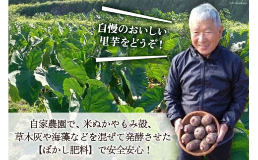 【期間限定発送】 里芋 赤芽 4kg [甲斐自然派農園 宮崎県 日向市 452060524] さといも ホクホク