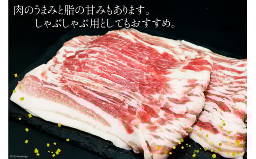 豚肉 スライス バラ肉 300g×5袋 計1.5kg [甲斐精肉店 宮崎県 日向市 452060535] 肉 お肉 精肉 豚 豚バラ 宮崎 国産 しゃぶしゃぶ 小分け 真空 冷凍