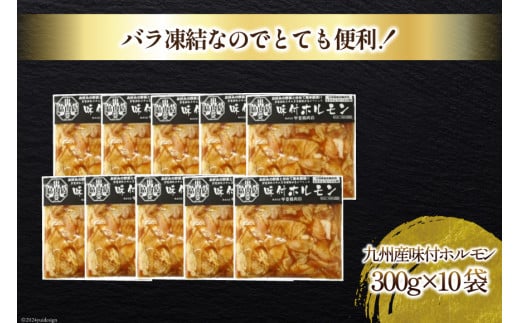 九州産味付豚ホルモン 300g×10袋 計3kg [甲斐精肉店 宮崎県 日向市 452060586] 味付き 焼肉 肉 冷凍 国産 豚肉 焼くだけ ホルモン 野菜炒め BBQ
