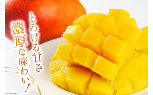 【2026年夏発送】 訳あり 宮崎 完熟 マンゴー 約 2kg [宮崎県農業協同組合日向地区本部（販売課） 宮崎県 日向市 452060660] 果物 フルーツ 規格外 家庭用 完熟マンゴー 甘い 日向 期間限定 冷蔵