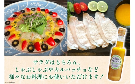 へべすドレッシング Hebesu Dressing (210ml×5本) [VengaVenga 宮崎県 日向市 452060722] へべす セット 玉ねぎ たまねぎ 人参 にんじん