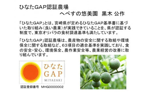 【期間限定発送】 へべす ひなたGAP認定 ふぞろい 5kg [へべすの悠美園 宮崎県 日向市 452060724] ヘベス 宮崎 果物 フルーツ くだもの 柑橘 ポン酢 調味料 果汁