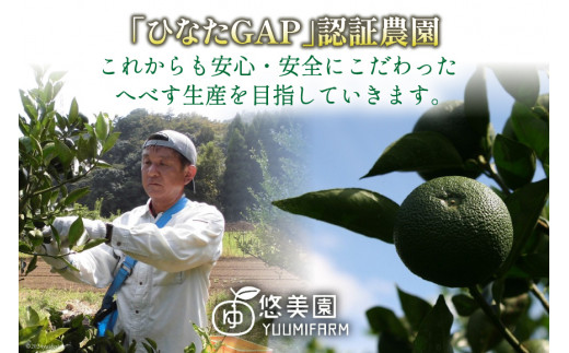【期間限定発送】 へべす ひなたGAP認定 ふぞろい 2kg [へべすの悠美園 宮崎県 日向市 452060725] ヘベス 宮崎 果物 フルーツ くだもの 柑橘 ポン酢 調味料 果汁