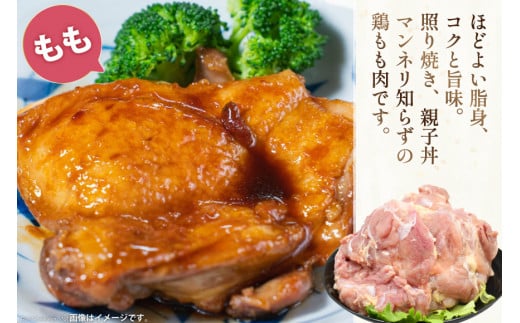 肉 鶏肉 宮崎県産若鶏 鶏肉バラエティーセット3kg [アイフーズ 宮崎県 日向市 452060754] 冷凍 小分け もも肉 モモ肉 むね肉 ムネ肉 ささみ ササミ