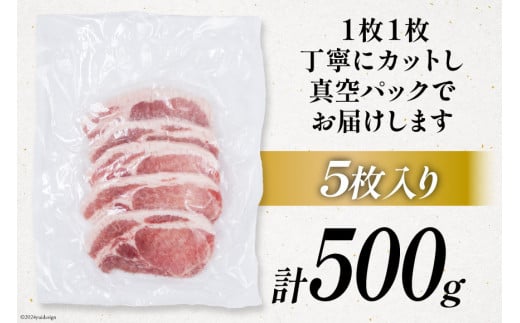 豚肉 小分け 宮崎ブランドポーク ロース トンテキ とんかつ カット 100g ×5枚 500g [ウィズ・クリエイティブ 宮崎県 日向市 452060770] 冷凍 豚 個包装 トンカツ 真空 宮崎