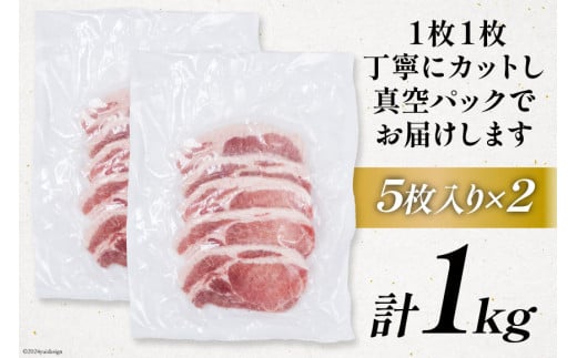 豚肉 小分け 宮崎ブランドポーク ロース トンテキ とんかつ カット 1kg [ウィズ・クリエイティブ 宮崎県 日向市 452060771] 冷凍 豚 個包装 トンカツ 真空 宮崎
