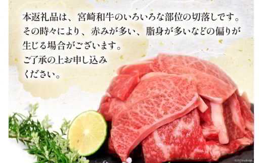 宮崎和牛 切り落とし 焼肉 600ｇ [道の駅「日向」物産館 宮崎県 日向市 452060795] 切落し きりおとし 牛肉 黒毛和牛 宮崎県産 焼き肉