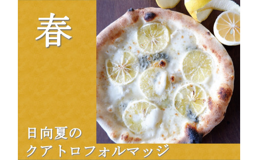 ミシュランピッツァ職人の本格ナポリピザ おすすめ３枚 春セット《冷凍・手作り・窯焼き》 [H+Kitchen&Bakery 宮崎県 日向市 452060808] ピザ ピッツァ マルゲリータ