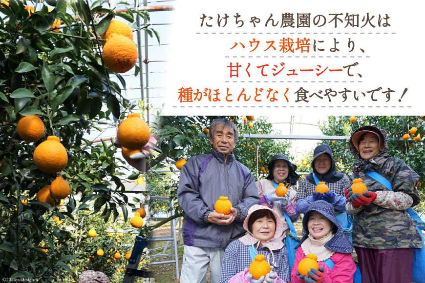 【期間限定発送】じゅわーっと甘い 不知火 約3kg（ハウス栽培・化粧箱入り） [たけちゃん農園 宮崎県 日向市 452060822] 果物 フルーツ 柑橘類