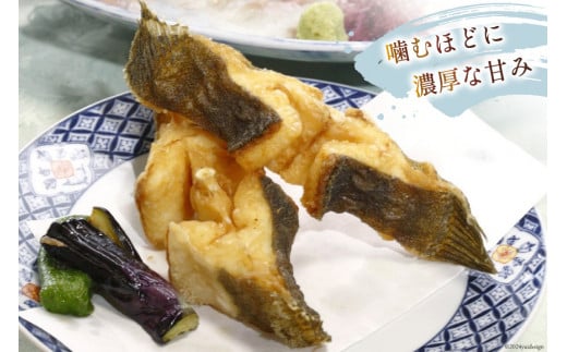 魚 黄金ひらめの活きジメ 1尾 [あゆの是則 宮崎県 日向市 452060877] 魚 魚介 鮮魚 活 ひらめ ヒラメ 平目