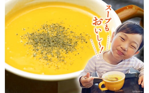 【期間限定発送】 野菜 栗カボチャ 2玉 [たくちゃんの野菜農園 宮崎県 日向市 452060909] かぼちゃ 南瓜 カボチャ 完熟 甘い ホクホク ほっこり133 ブラックのジョー 国産