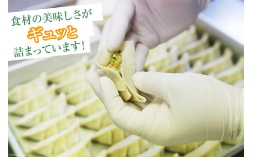 宮崎餃子 へべす餃子 15個×4 計60個 [餃子の里 宮崎県 日向市 452061116] 惣菜 餃子 ぎょうざ ギョウザ 専門店 冷凍