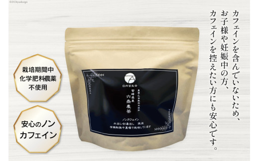 お茶 六条麦茶 ( 10g 20包 ) 10袋 [日向百生会 宮崎県 日向市 452061128] 麦茶 むぎ茶 水出し 煮出し ティーバッグ 国産 ノンカフェイン