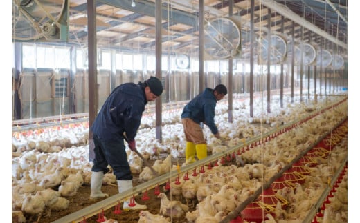 鶏肉 小分け 宮崎県産 ブランド鶏 夢創鶏 もも むね 切身 セット 200g 5p 2種 計2kg [英楽 宮崎県 日向市 452061148] むね肉 もも肉 ムネ モモ 鶏