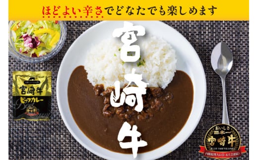 カレー 3回 定期便 レトルト 宮崎牛カレー 160g 12袋 総計36袋 [九州産商 宮崎県 日向市 452061182] 小分け ビーフカレー 宮崎 牛 常備食 保存食 中辛 宮崎牛 備蓄