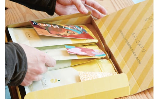 定期便 6回 【日本一の焙煎士厳選】珈琲 豆 100g×3種 スペシャルティコーヒー 飲み比べ [日向珈琲 宮崎県 日向市 452061206] コーヒー 焙煎 自家焙煎 詰め合わせ