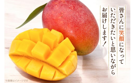 【期間限定発送】 マンゴー 宮崎県産 完熟マンゴー 3L 以上 1玉 [日向サンパーク 宮崎県 日向市 452061246] 宮崎 果物 フルーツ 甘い