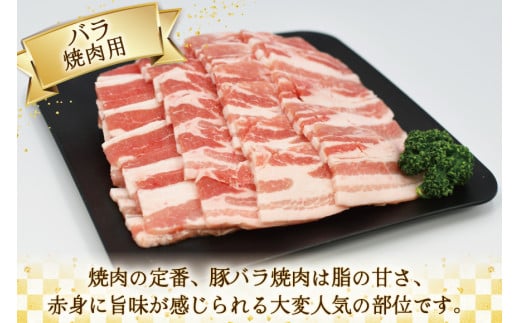 肉 豚肉 宮崎県産豚肉4種セット 詰め合わせ 1.5kg [日本ハムマーケティング 宮崎県 日向市 452061253] 冷凍 小分け 個包装 セット とんかつ しゃぶしゃぶ 焼き肉 細切れ 焼肉