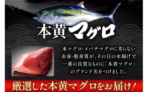 【期間限定発送】 マグロ 刺身 宮崎県産 天然 キハダマグロ 約500g [ミツイ水産 宮崎県 日向市 452061258] まぐろ 鮪 ブロック