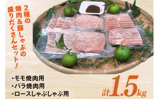 【宮崎ブランドポーク】へべす豚 焼肉 (モモ・バラ) & 豚しゃぶ (ロース) 各500g 計1.5kg [JAみやざき 日向肉豚部会 宮崎県 日向市 452061312] 肉 豚肉 モモ バラ ロース BBQ しゃぶしゃぶ