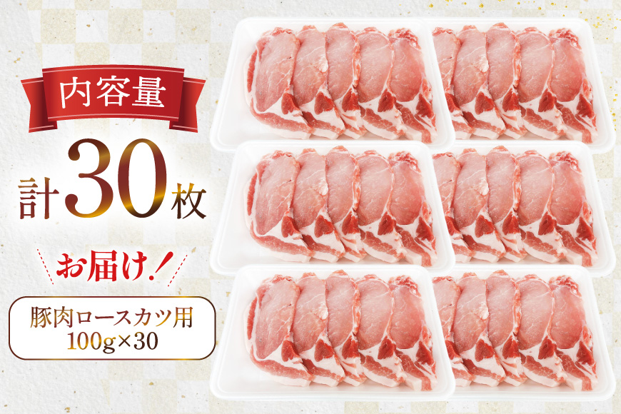 豚肉 ロース 宮崎県産 豚肉ロースカツ用 30枚 セット [TRINITY 宮崎県 日向市 452061323] 小分け 冷凍 豚 とんかつ ロースカツ お弁当 おかず