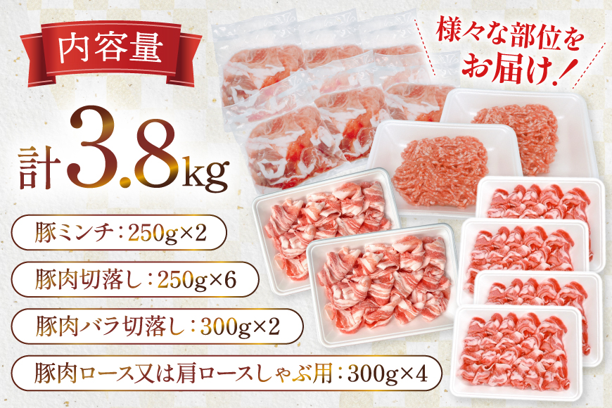 豚肉 宮崎県産豚肉 3.8kg 詰め合わせ セット [TRINITY 宮崎県 日向市 452061327] 小分け 豚 肉 宮崎 ロース スライス 豚バラ とんかつ 切り落とし ミンチ 豚ミンチ ひき肉 真空パック