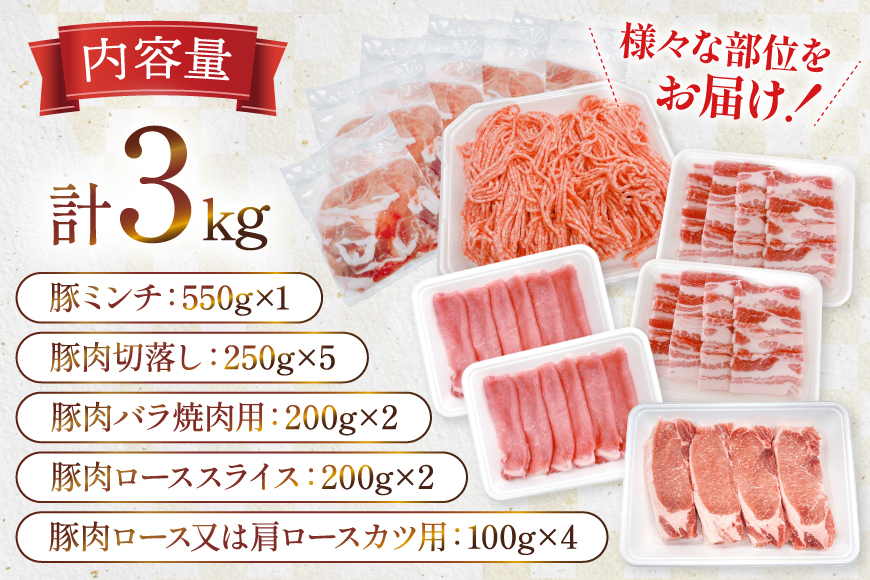 豚肉 宮崎県産豚肉 3kg 詰め合わせ セット [TRINITY 宮崎県 日向市 452061329] 小分け 豚 肉 宮崎 ロース スライス 豚バラ とんかつ 切り落とし ミンチ 豚ミンチ ひき肉 真空パック