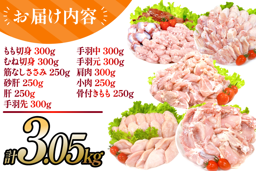 鶏肉 業務用 宮崎県産 若鶏 もも切身 むね切身 筋なしささみ 砂肝 肝 手羽先 手羽中 手羽元 肩肉 小肉 骨付きもも 計 3.05kg セット [TRINITY 宮崎県 日向市 452061335] 小分け 冷凍 鶏もも肉 鶏むね肉 ささみ 詰め合わせ