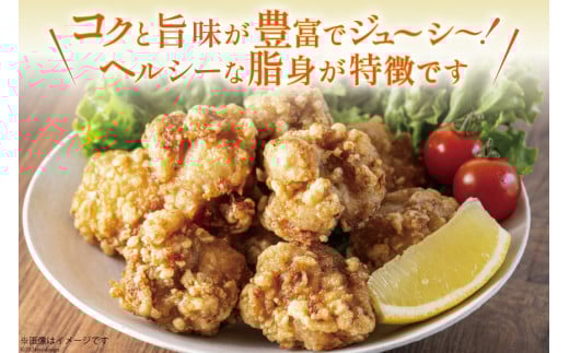 宮崎県産若鶏もも 2kg [エム・ティ・シー 宮崎県 日向市 452061358] 鶏肉 もも肉 小分け モモ肉 冷凍 九州 鳥肉 国産 肉