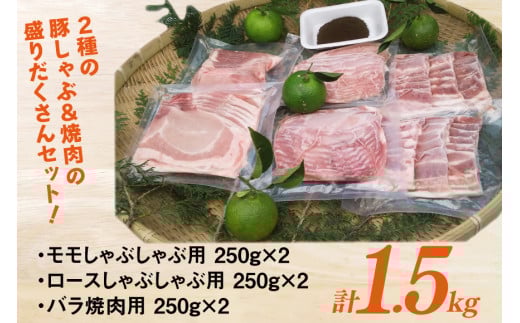 【宮崎ブランドポーク】へべす豚 焼肉 (バラ) & 豚しゃぶ (モモ・ロース) 計1.5kg [JAみやざき 日向肉豚部会 宮崎県 日向市 452061386] 肉 豚肉 モモ バラ ロース BBQ しゃぶしゃぶ