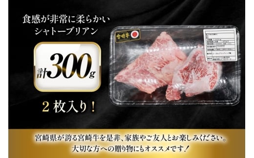 牛肉 宮崎牛 希少部位 シャトーブリアン 2枚 計300g [ローカルブランディング 宮崎県 日向市 452061396] 冷凍 黒毛和牛 黒毛 A4 A5 国産 ステーキ