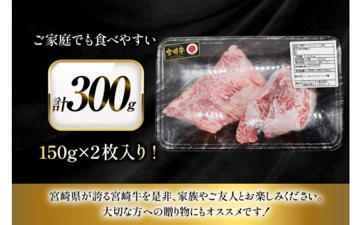 牛肉 宮崎牛 ヒレ ステーキ 150g 2枚 計300g [ローカルブランディング 宮崎県 日向市 452061397] 冷凍 小分け 黒毛和牛 黒毛 A4 A5 国産 ヒレステーキ ひれ フィレ ヘレ