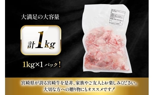 牛肉 宮崎牛 牛すじ 1kg [ローカルブランディング 宮崎県 日向市 452061404] 冷凍 黒毛和牛 黒毛 A4 A5 国産 牛筋