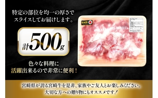 牛肉 宮崎牛 切り落とし 500g 1p [ローカルブランディング 宮崎県 日向市 452061409] 冷凍 小分け 黒毛和牛 黒毛 A4 A5 切落し 国産