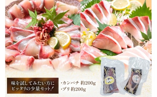 刺身 柵 カンパチ ブリ 少量贅沢 食べ比べ セット [請関水産 宮崎県 日向市 452061436] 冷蔵 詰め合わせ ぶり 個包装
