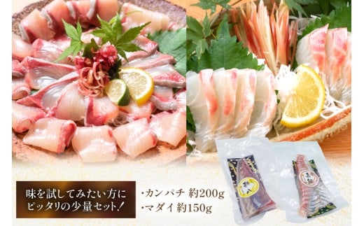 刺身 柵 カンパチ 真鯛 少量贅沢 食べ比べ セット [請関水産 宮崎県 日向市 452061438] 冷蔵 詰め合わせ 鯛 真鯛 タイ 個包装