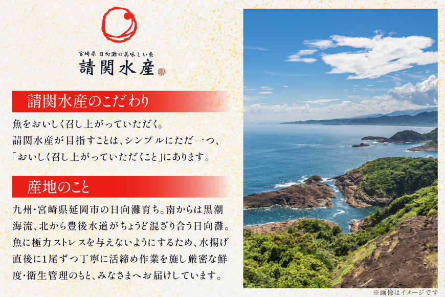 海鮮丼 海鮮漬け丼 5か月 定期便 [請関水産 宮崎県 日向市 452061452] 海鮮丼の具 海鮮 海鮮丼セット 食べ比べ 丼 冷凍 ギフト 漬け丼 ブリ 真鯛 マダイ カンパチ かんぱち まぐろ マグロ サーモン