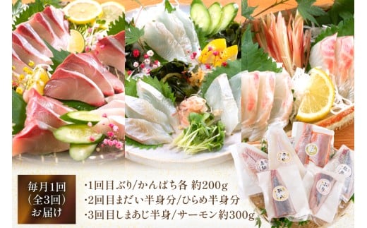 刺身 柵 旬のお刺身 3ケ月 定期便 2魚種 食べ比べ [請関水産 宮崎県 日向市 452061456] 冷蔵 詰め合わせ ぶり ヒラメ ひらめ 真鯛 鯛 マダイ タイ カンパチ かんぱち しまあじ サーモン 鮭